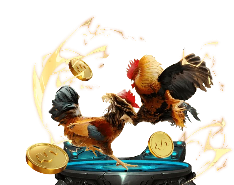 Giấy phép hoạt động cá cược